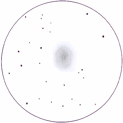 ngc-185.gif